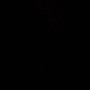 Meet your Posher, Wendi